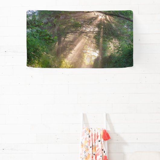 Banderoles sentier forestier (Insitu)