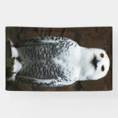 Banderoles Snowy Owl bnrcna (Horizontal)