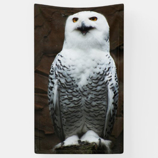 Banderoles Snowy Owl bnrcna (Vertical)