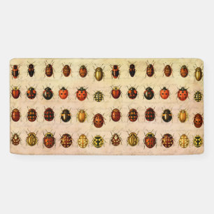 Banderoles Spécimen de coccinelle vintage Motif Insecte antiq
