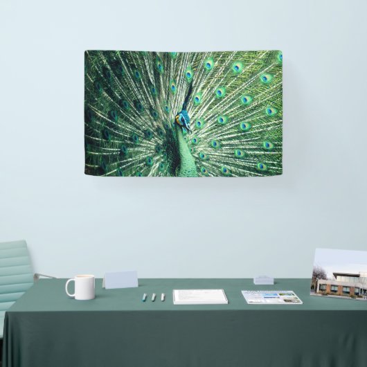 Banderoles Strut Peacock (Salon professionnel)