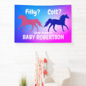 Banderoles Style Occidental Fileux Ou Colt (Insitu)