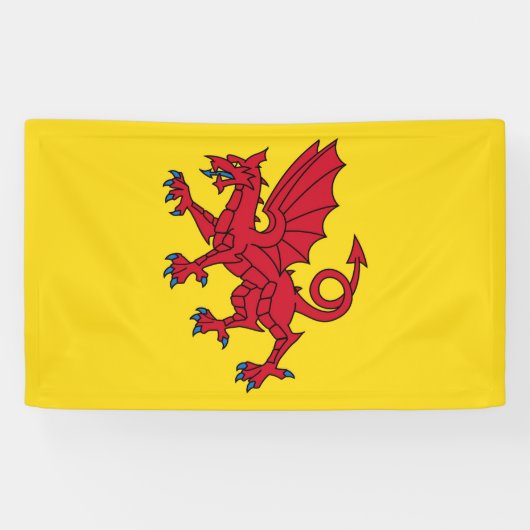 Banderoles Symbole de Somerset Flag England (Horizontal)