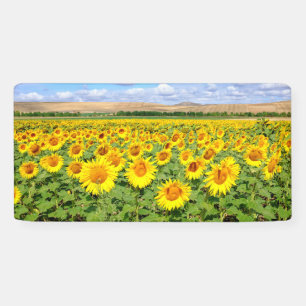 Banderoles Terrain de tournesol