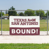 Banderoles Texas A&M San Antonio (Insitu)