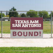 Banderoles Texas A&M San Antonio (Insitu)