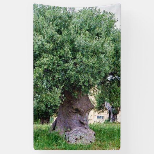 Banderoles The Thinking Tree in Pugia (Vertical)
