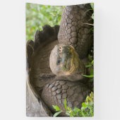 Banderoles Tortue géante (Vertical)