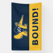 Banderoles UC Irvine | Anteaters UCI (Verticale)