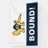 Banderoles UC Irvine | Anteaters UCI (Verticale)