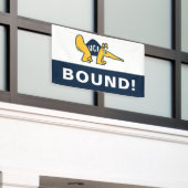 Banderoles UC Irvine | Anteaters UCI (Bâtiment extérieur)