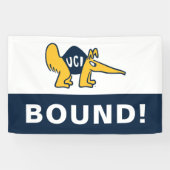 Banderoles UC Irvine | Anteaters UCI (Horizontal)