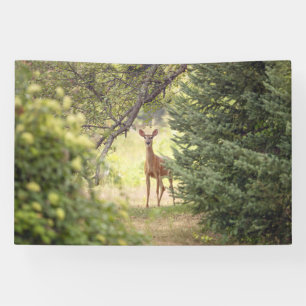 Banderoles Un cerf solitaire