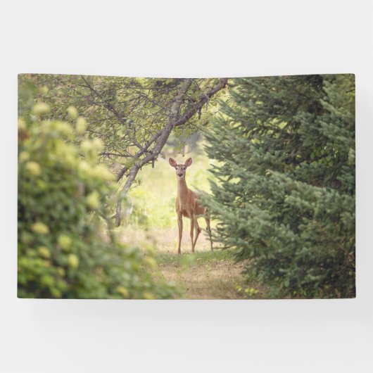 Banderoles Un cerf solitaire (Horizontal)