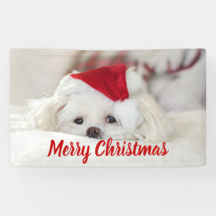 Banderoles Un mignon chien blanc dans un Casquette de Noël ro