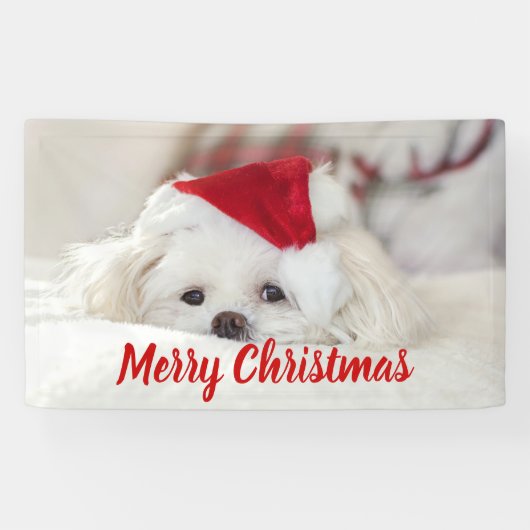 Banderoles Un mignon chien blanc dans un Casquette de Noël ro (Horizontal)