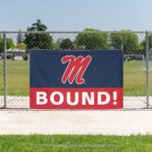 Banderoles Université du Mississippi | Script M (Insitu)