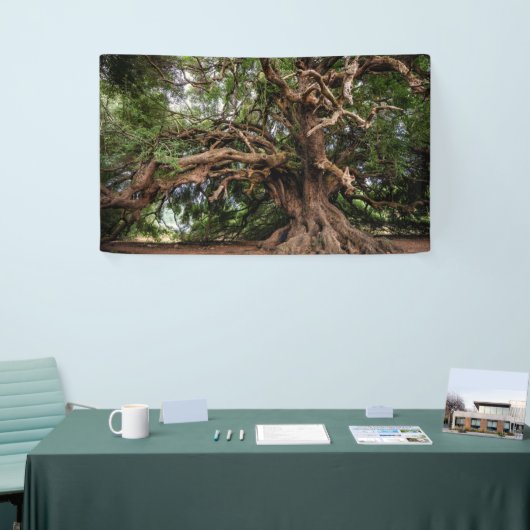 Banderoles Vieux Olivier rustique (Salon professionnel)