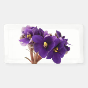 Banderoles Violet africain