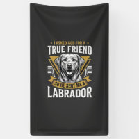Vrai chien Labrador ami