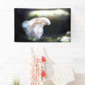 Banderoles White siamese Fighting Fish (En situation)