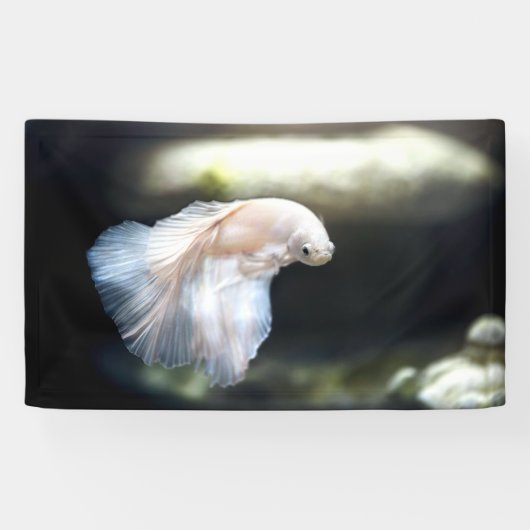 Banderoles White siamese Fighting Fish (Horizontal)