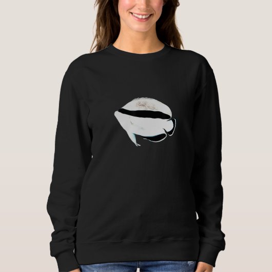 Bandit Angelfish Saltwater Reef Aquarium Fish Tank (Voorkant)