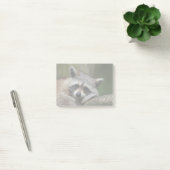 Bandit at Rest Cute Raccoon Post-it® Notes (Kantoor)