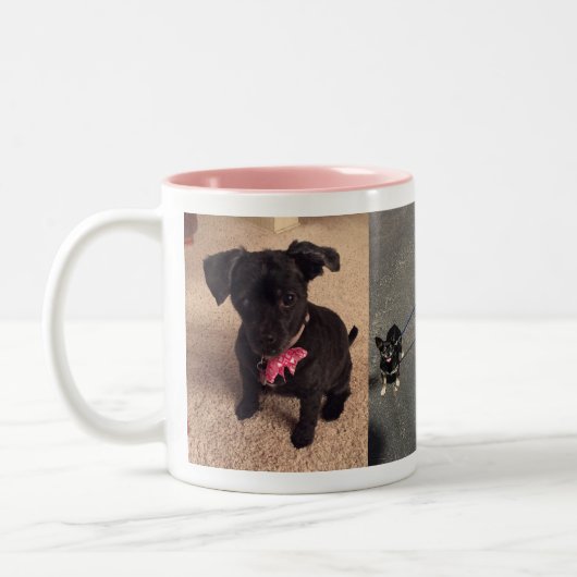 Bandit et tasse de Maggie (Gauche)