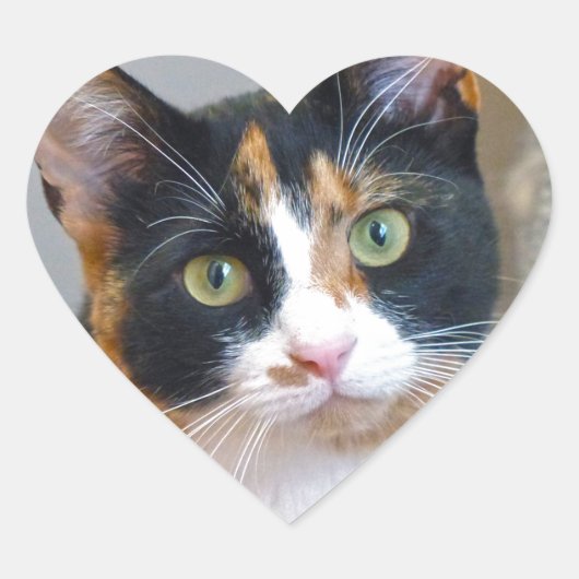 Bandit Hart Sticker (Voorkant)