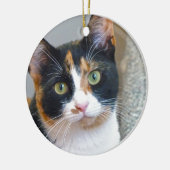 Bandit Keramisch Ornament (Links)