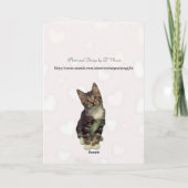 Bandit La joyeuse carte d'anniversaire du chat (Dos)