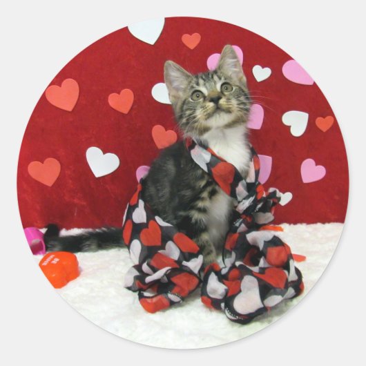 Bandit the Cat - Stickers Saint Valentin les mieux (Devant)