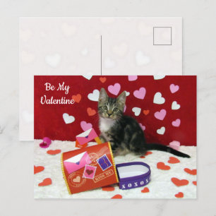 Bandit The Cat's Valentijn Mailbox Briefkaart