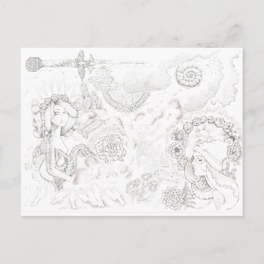 banditas briefkaart (Voorkant)