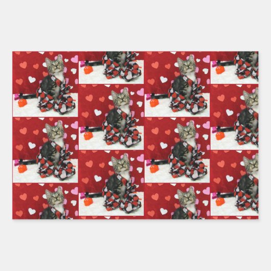 Bandit's Love - Chat / Kitten Wrapping Feuilles pa (Devant 2)