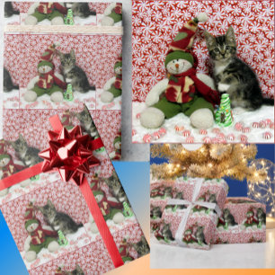 Bandit's Snowman Kerstmis - Katteninpakpapier Cadeaupapier