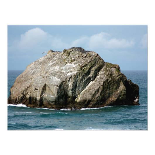 Bandon Oregon's beroemde Face Rock Photo Print Foto Afdruk (Voorkant)