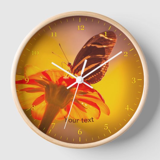 Bandvlinder op Tithonia-bloem (Voorkant)