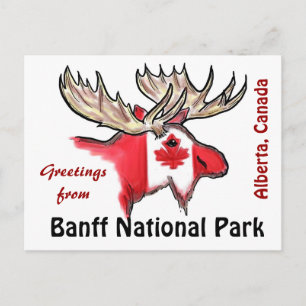 Banff National Park Alberta Canada elk briefkaart