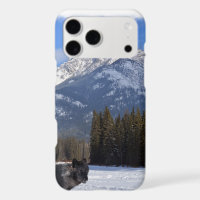 Banff Wolf in de winter met Mt Cascade