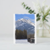 Banff Wolf in de winter met Mt Cascade Briefkaart (Staand voorkant)
