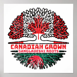 Bangladesh Bangladesh Canadian Canada Tree Roots Poster