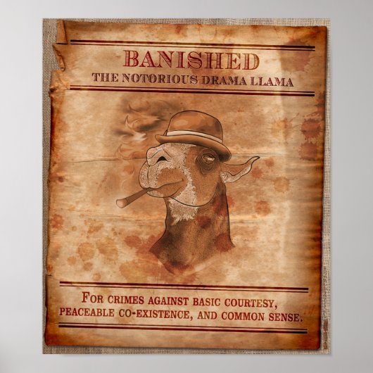 Banish Drama Llamas - Poster 12" x 14" (Devant)