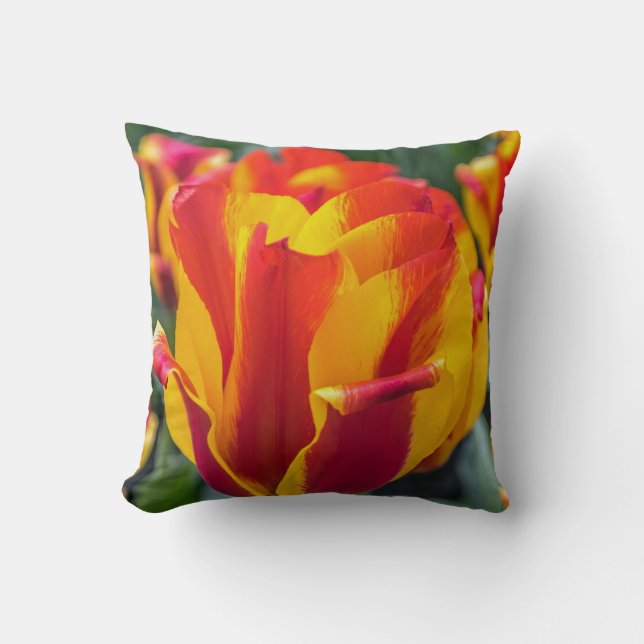Banja Luka tulipes jeter coussin (Recto)