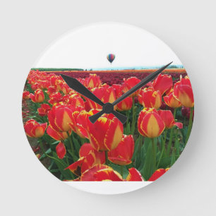 Banja Luka Tulips in een gebied met een luchtballo Ronde Klok