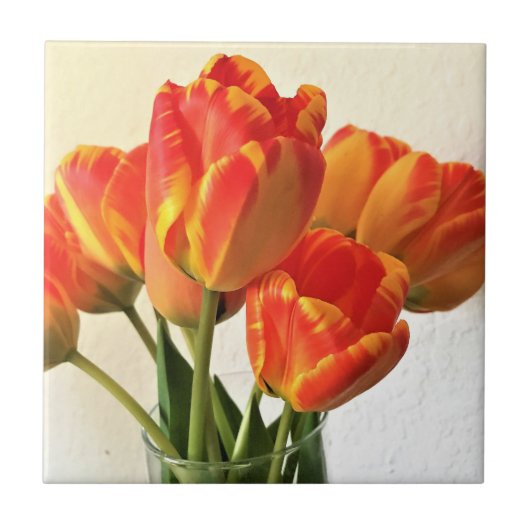 Banja Luka Tulips Tegeltje (Voorkant)