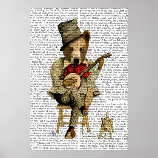 Banjo Beer Poster (Voorkant)