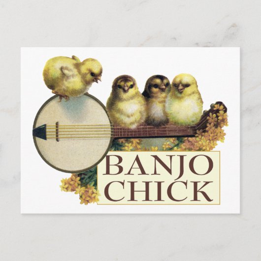 Banjo Chick Briefkaart (Voorkant)