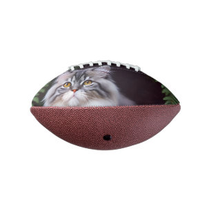 Banjo de Perzische: een pluizig grijs en wit genot American Football